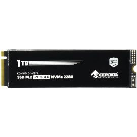 SSD M.2 NVMe Keepdata 16GTS